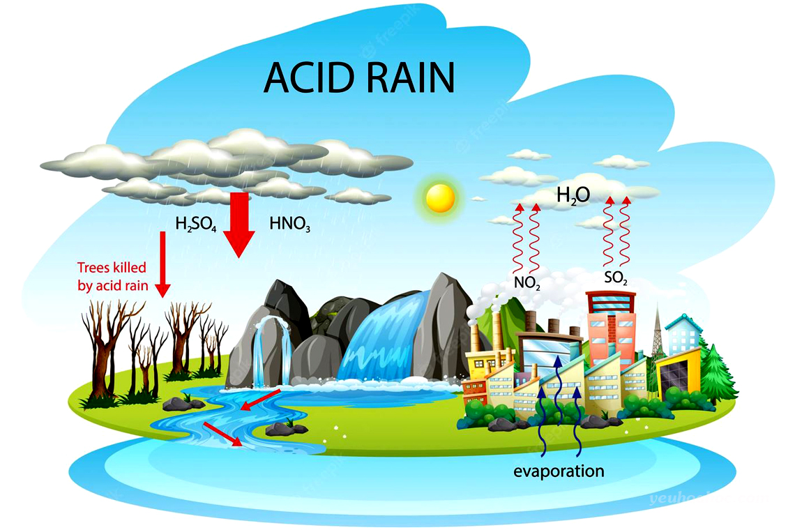 MƯA AXIT GÂY Ô NHIỄM MÔI TRƯỜNG